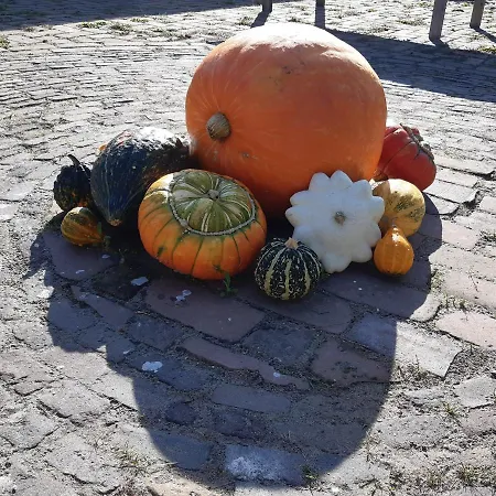 Apartament Bij De Vlaamse Schuur