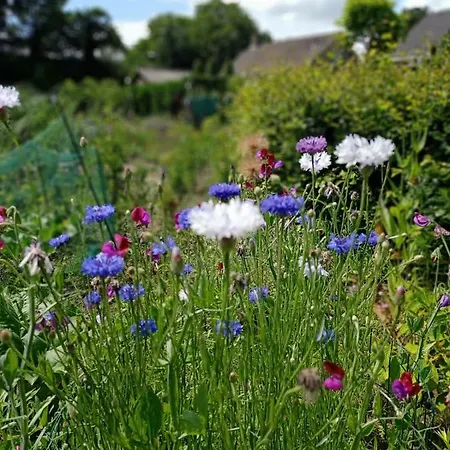 Apartament Bij De Vlaamse Schuur Wagenberg