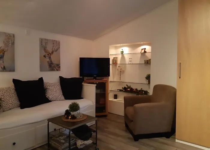 Bij De Vlaamse Schuur Apartment Wagenberg