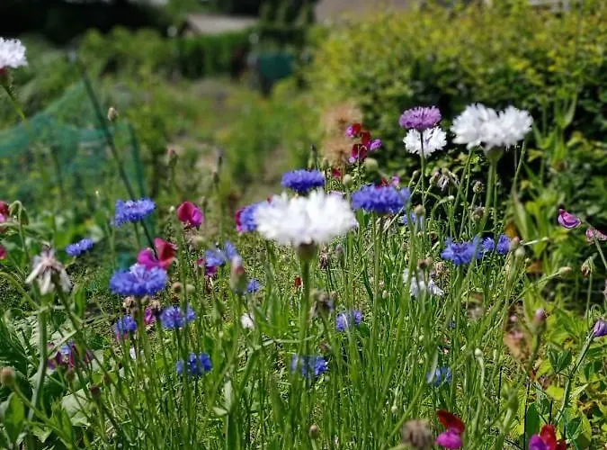 Apartment Bij De Vlaamse Schuur Wagenberg
